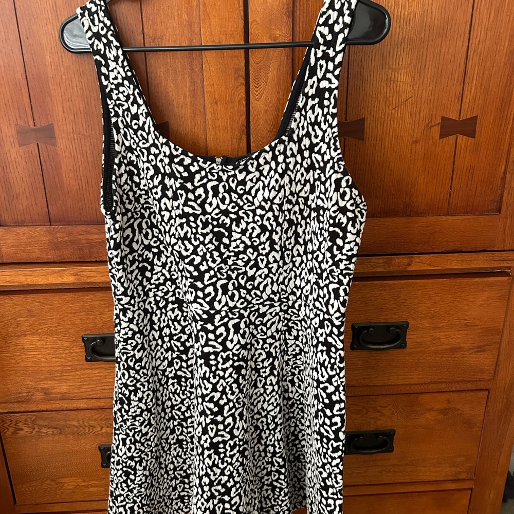 Large Express Dress